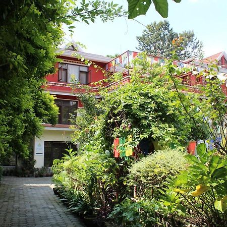 Rokpa Guest House Катманду Екстериор снимка