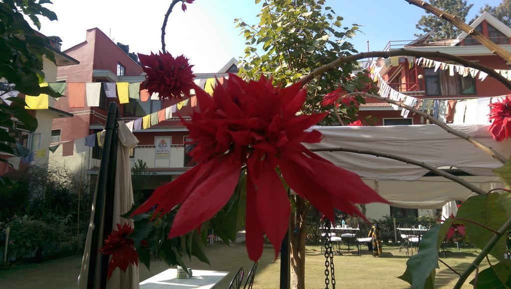 Rokpa Guest House Катманду Екстериор снимка