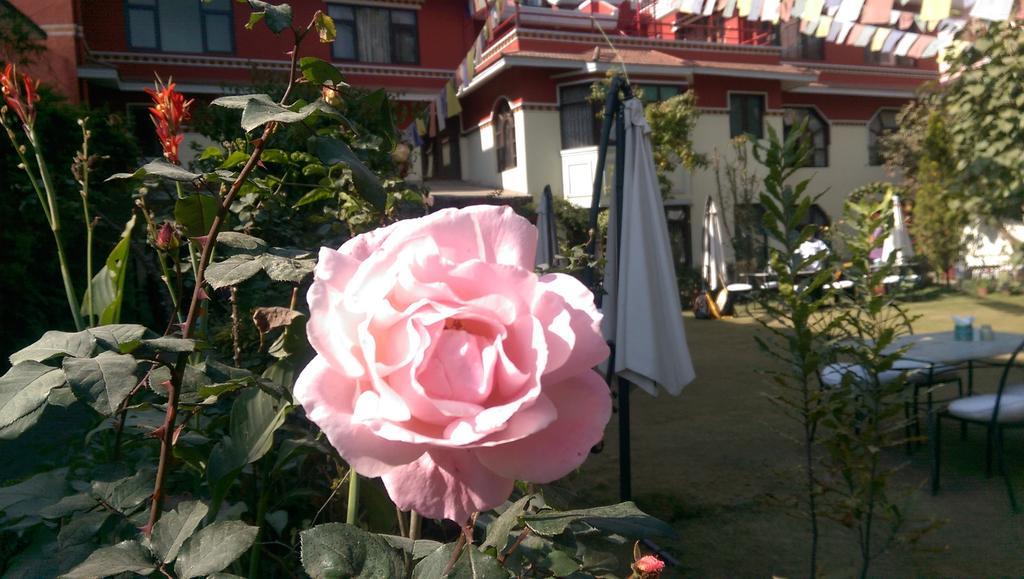 Rokpa Guest House Катманду Екстериор снимка
